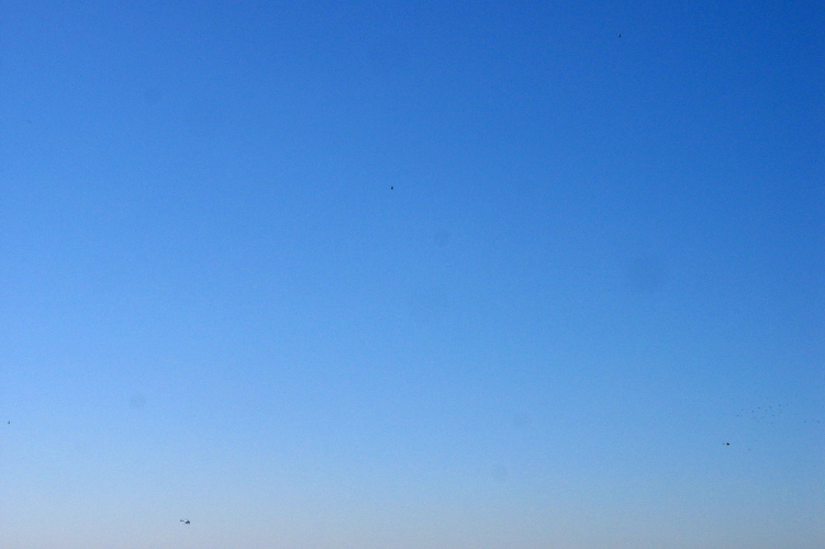 Can you find five (of the six) helicopters in this image?