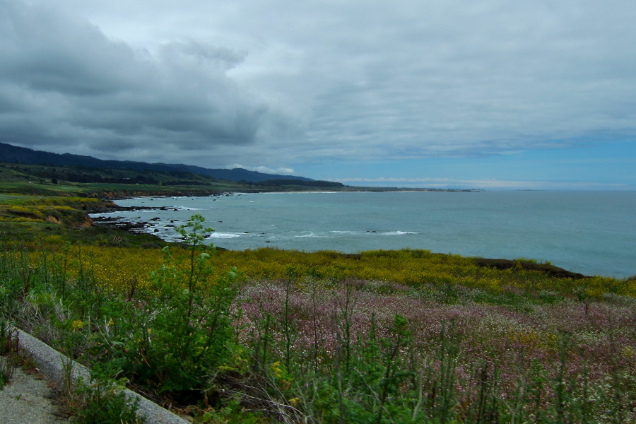 Color on the shore near Pigeon Point.