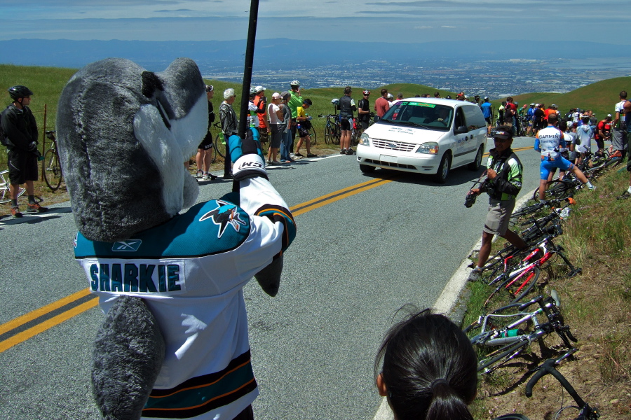 Sharkie waves goodbye.