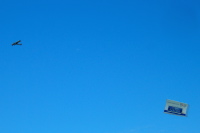 The flying advertisement.