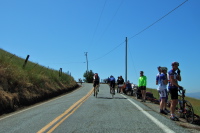 Fans get ready to watch the race.