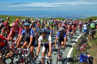 The peloton (4).