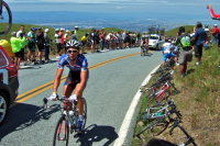 A Quickstep rider in the caravan.