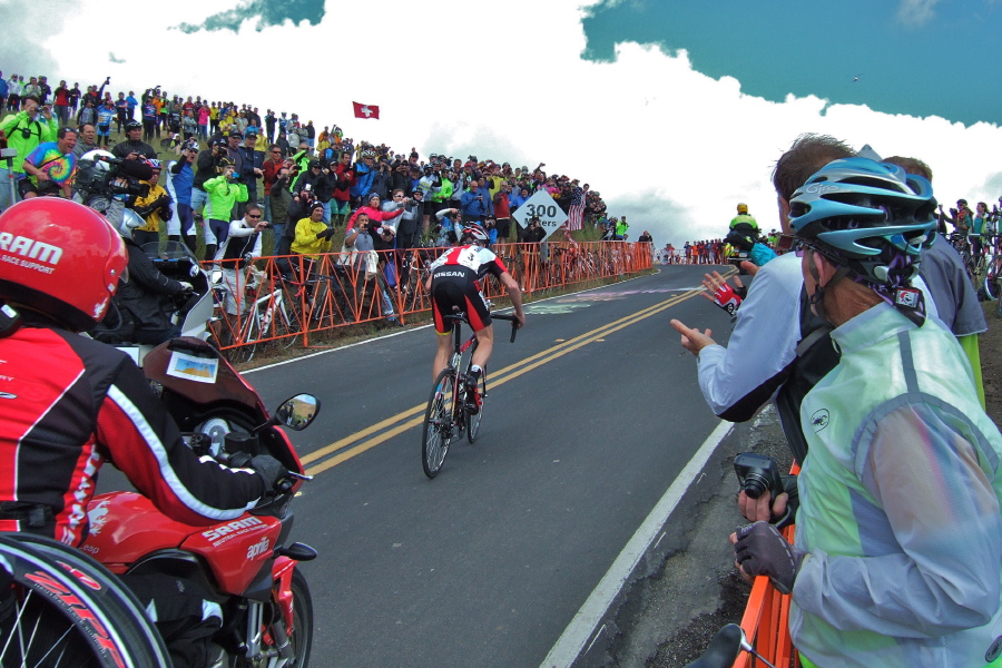 The crowd goes wild.