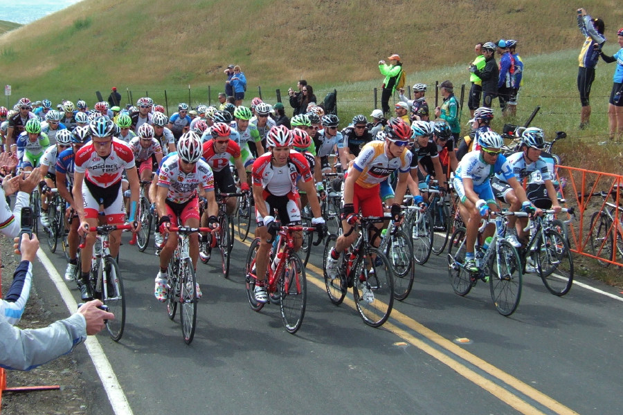 The peloton (1)