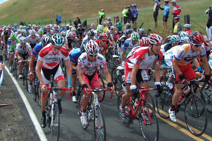 The peloton (2)