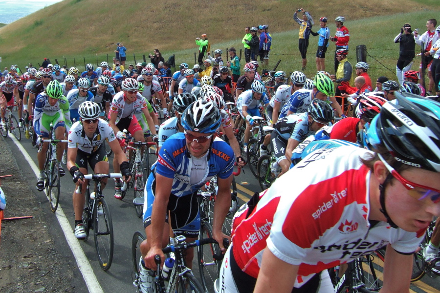 The peloton (3)