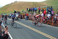 (r to l): Levi Leipheimer, Rory Sutherland, Tom Danielson, and Andy Schleck in the second group