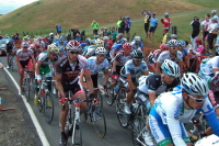 The peloton (5)