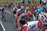 The peloton (7)