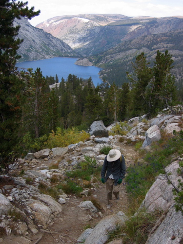 David climbing through the lupines on the Treasure Lake Trail.