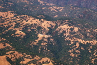 Henry Coe State Park HQ (at center)