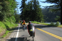 Cruising down Avenue of the Giants.  (180ft)
