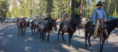 The crews were busy packing up the High Sierra Camp at May Lake.
