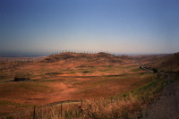 View east from Patterson Pass
