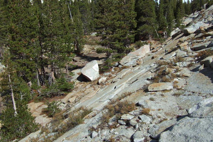 I had to climb up this granite dome above the creekbed to find a walkable route past the narrowest part of the canyon.