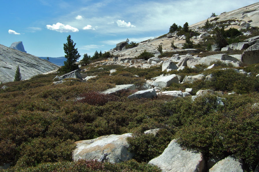 I decided to turn back when my path ahead was blocked by much talus and brush.