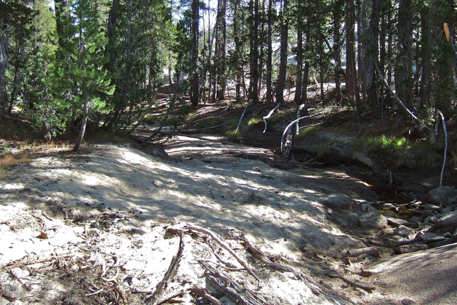 Tenaya Creek was mostly dry.  Only a few stagnant pools of water.