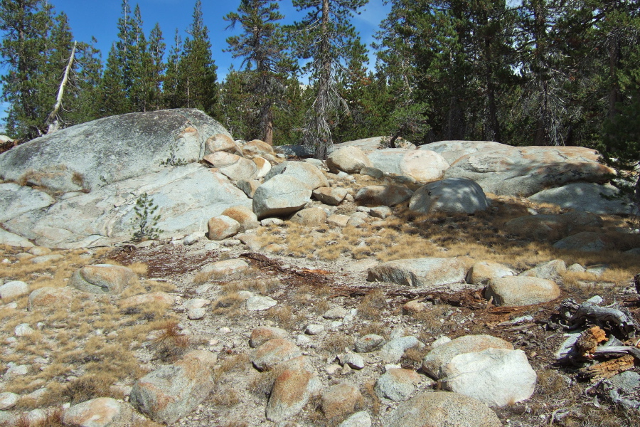 My exit route took me up the eastern side of the slide, an area not far from the Sunrise Trail.
