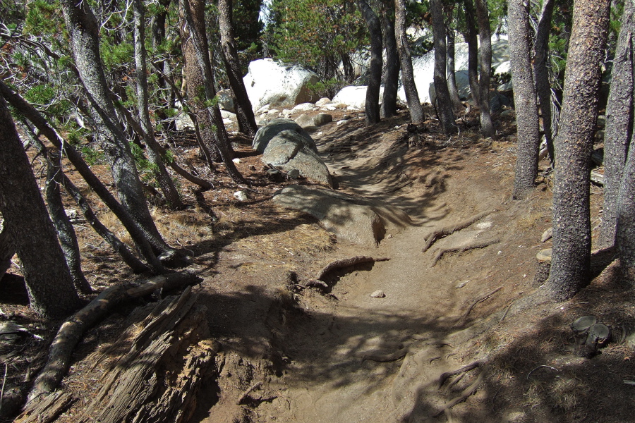 Ah, back on the trail.