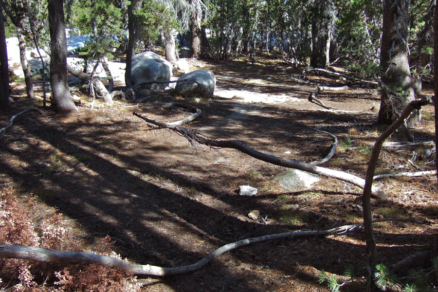 In some places there was a faint suggestion of a use trail.