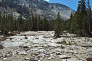 I continued through the forest.  Using mostly a faint use trail and the frequent granite aprons made travel easy.