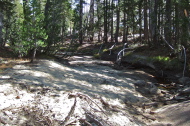 Tenaya Creek was mostly dry.  Only a few stagnant pools of water.