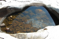 The water in the pools looks quite stagnant.