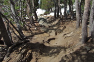 Ah, back on the trail.