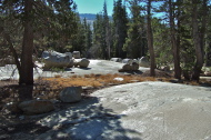 Here's one spot with many erratic boulders deposited by the last glacier.