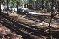 In some places there was a faint suggestion of a use trail.