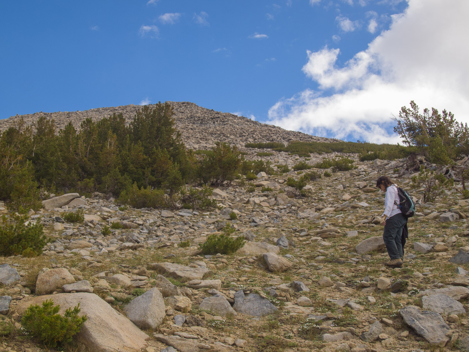 Unfortunately, the summit is still some distance beyond.  Photo courtesy of Frank Paysen.