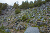 This time the rocks are wet.