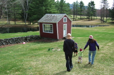 Is the picture window of this shed in-plane?