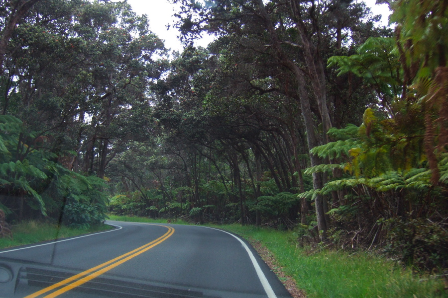 Heading down Chain of Craters Road to the Napau Crater Trailhead