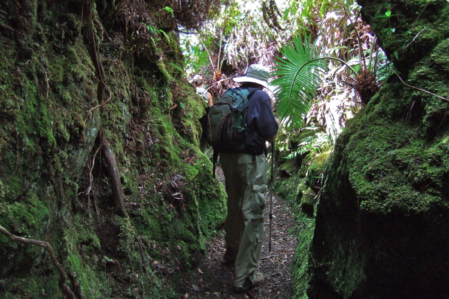 At one point the trail closes in.