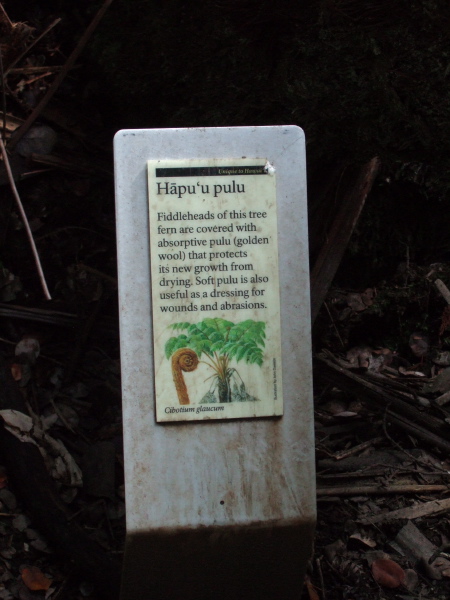 Hapu'u pulu plaque