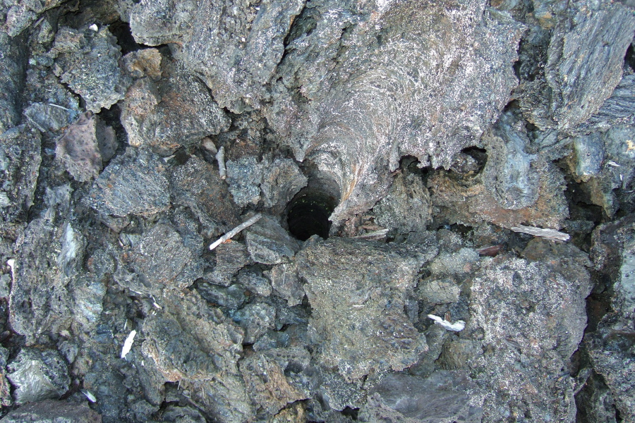 Tree cast in the lava