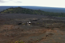 Bill and David climb up Mauna Ulu from the Napau Trail.