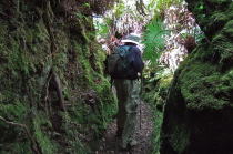 At one point the trail closes in.