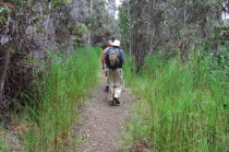 Aromatic grass lines the Byron Ledge Trail.