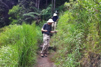 Bill studies some of the sweet-smelling grass on the Kilauea Iki Trail.