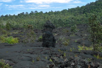 The Lava Cat keeps watch.
