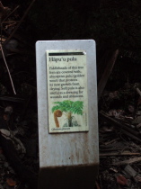 Hapu'u pulu plaque