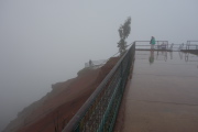 Not much can be seen today!