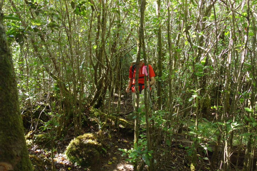 While the trail is sometimes hard to spot, an occasional pink ribbon wrapped around a branch guides the way.