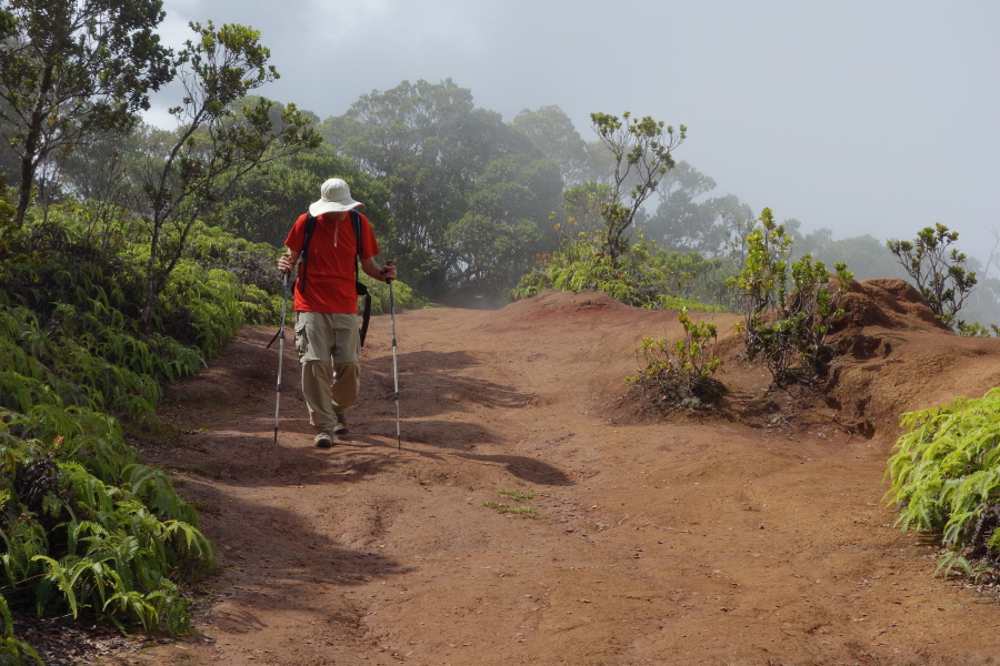 The trail is never far from the ridge.