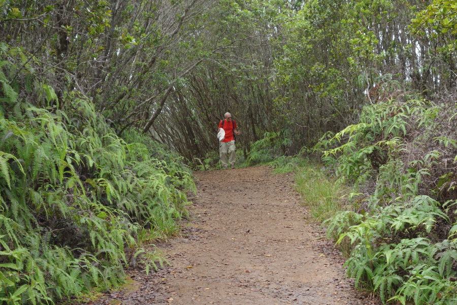 This part of the trail was easy walking.