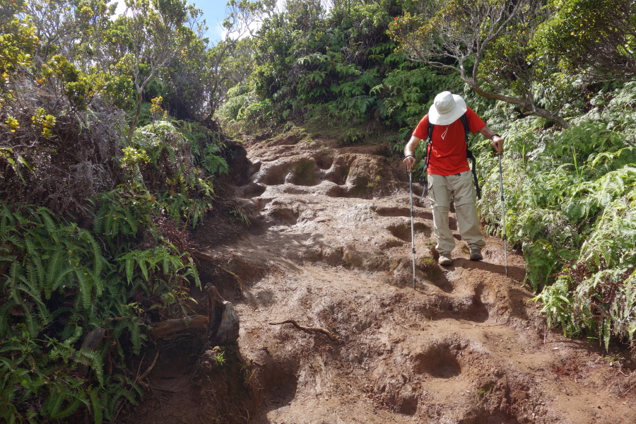 This part of the trial was tricky and slick with mud.