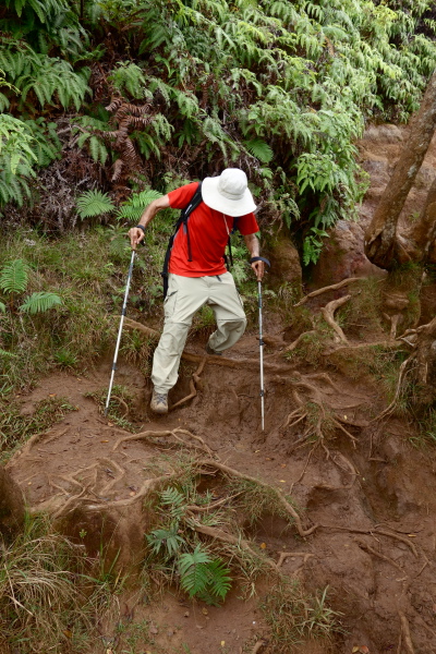 David works his way down the muddy, slick section, taking care to avoid slippery roots.